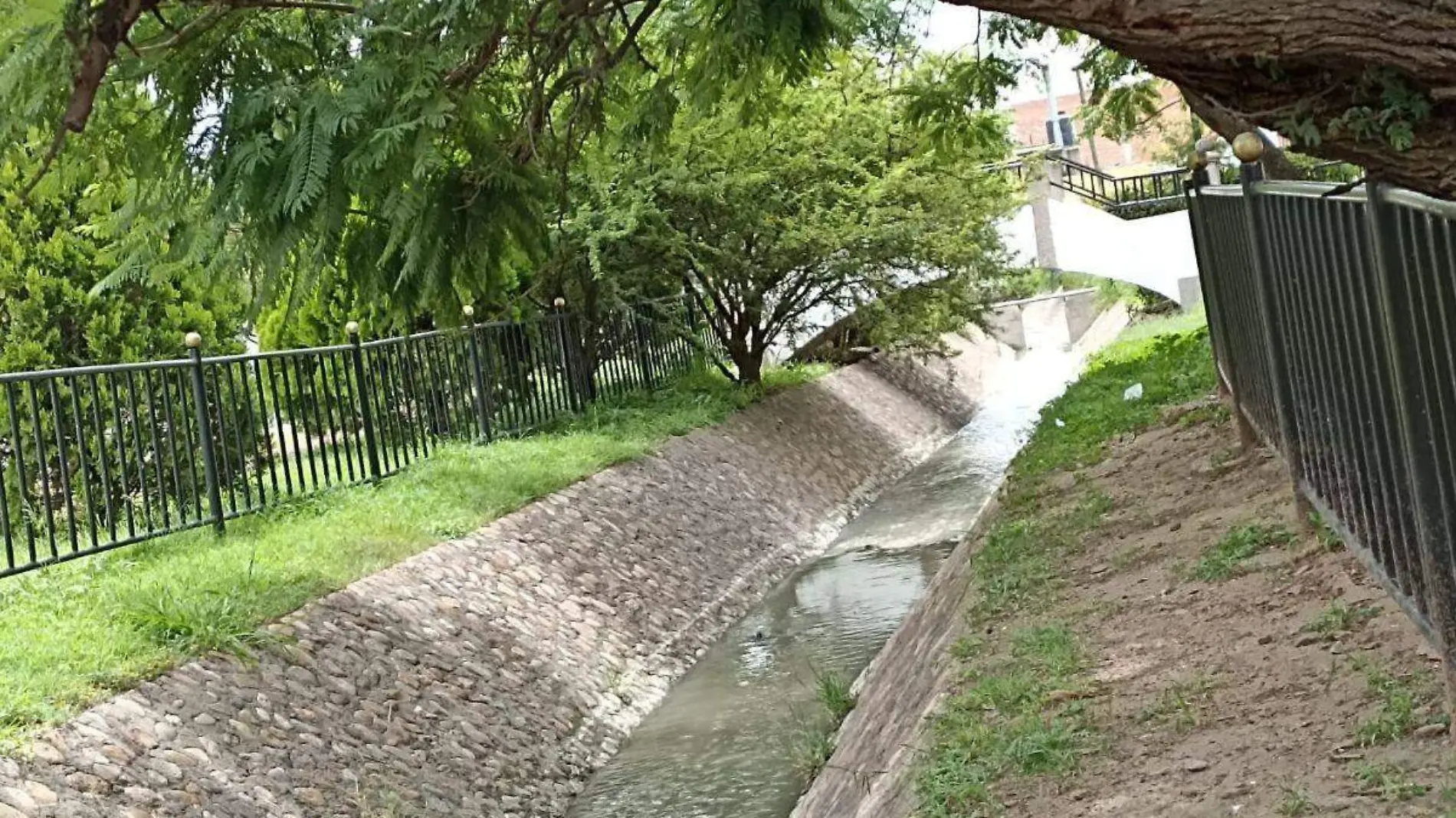 Aguascalientes, entre canales de aguas negras y coladeras putrefactas